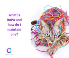 What is RoPA and how do I maintain one? - ComplyKEY